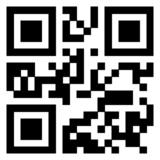 Il Qr Code di 3919146019
