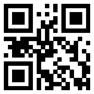 Il Qr Code di 3919146035