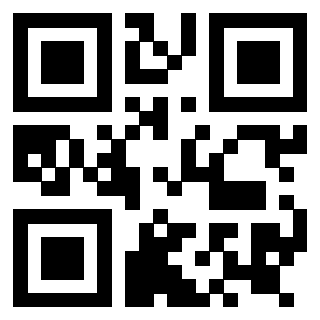 Il Qr Code di 3919146053