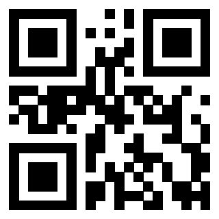 Il Qr Code di 3919146077