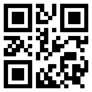 Il Qr Code di 3919146087