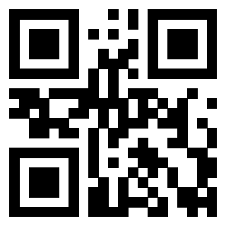 Il Qr Code di 3919146093
