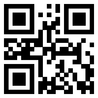 Il Qr Code di 3919146106