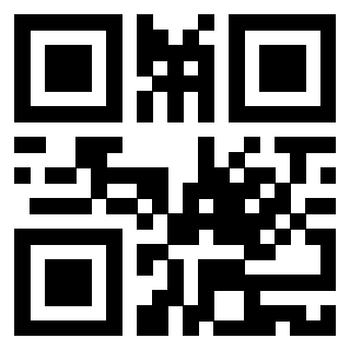 Il Qr Code di 3919146116
