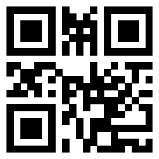 Il Qr Code di 3919146125