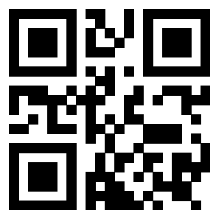 Il Qr Code di 3919146141