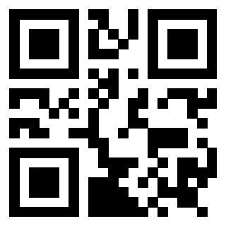 Il Qr Code di 3919146146