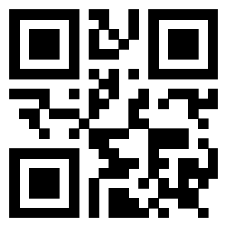 Il Qr Code di 3919146147