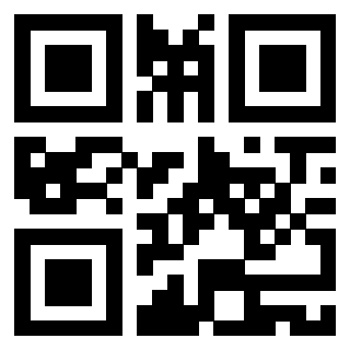 Il Qr Code di 3919146208