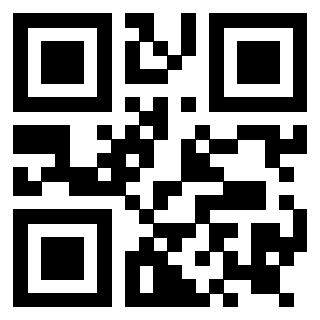 Il Qr Code di 3919146229