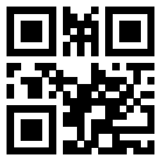 Il Qr Code di 3919146235