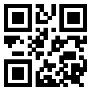 Il Qr Code di 3919146266