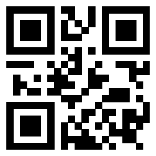 Il Qr Code di 3919146311