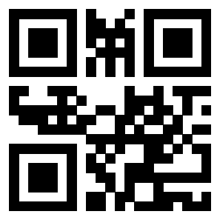 Il Qr Code di 3919146365