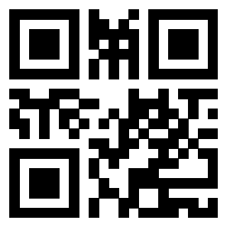 Il Qr Code di 3919146369