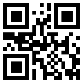 Il Qr Code di 3919146370