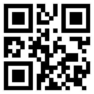 Il Qr Code di 3919146375