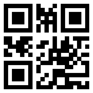 Il Qr Code di 3919146436