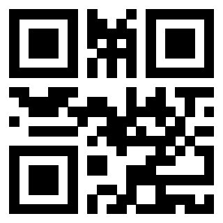 Il Qr Code di 3919146451