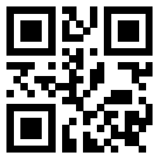 Il Qr Code di 3919146461