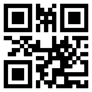 Il Qr Code di 3919146465