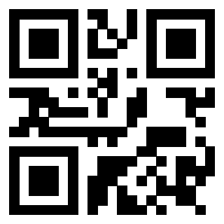 Il Qr Code di 3919146474