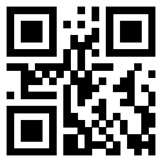 Il Qr Code di 3919146476