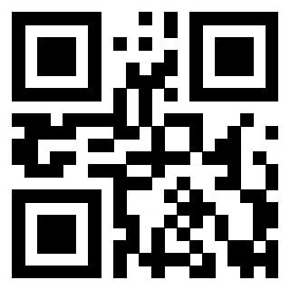 Il Qr Code di 3919146501
