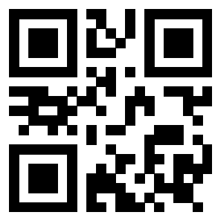 Il Qr Code di 3919146517
