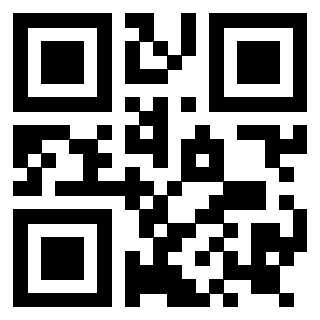 Il Qr Code di 3919146534