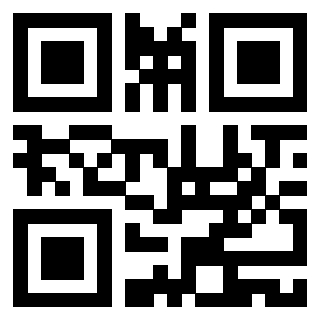 Il Qr Code di 3919146561