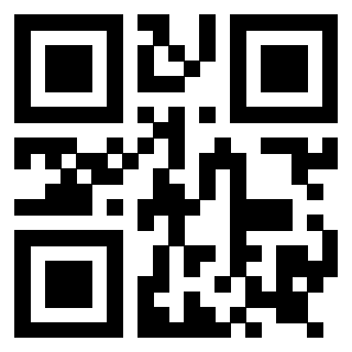 Il Qr Code di 3919146567