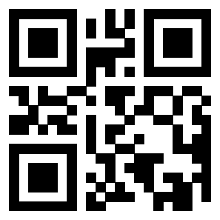 Il Qr Code di 3919146569