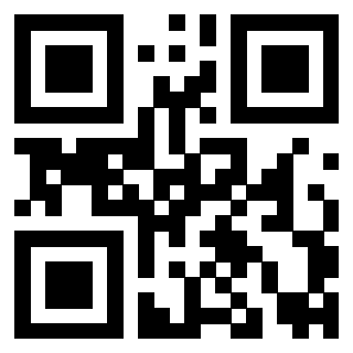 Il Qr Code di 3919146573