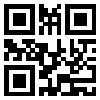 Il Qr Code di 3919146588
