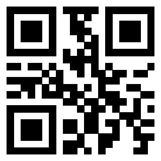 Il Qr Code di 3919146599