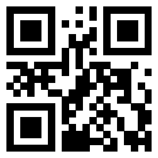 Il Qr Code di 3919146601