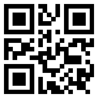 Il Qr Code di 3919146610