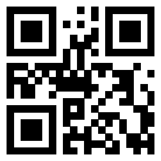 Il Qr Code di 3919146645