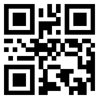 Il Qr Code di 3919146651