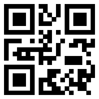 Il Qr Code di 3919146652