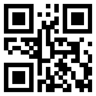 Il Qr Code di 3919146663