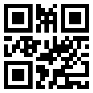 Il Qr Code di 3919146749