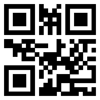 QrCode di 3919146754