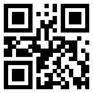 Il Qr Code di 3919146806