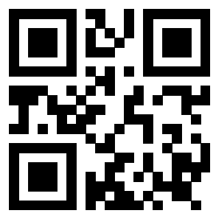 Il Qr Code di 3919160183