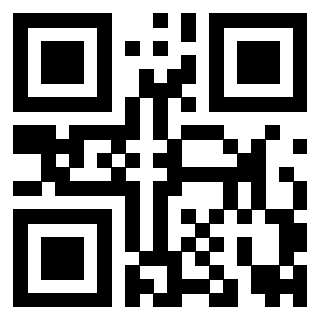 Il Qr Code di 3919160188
