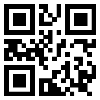Il Qr Code di 3919160195