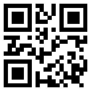 Il Qr Code di 3919160201