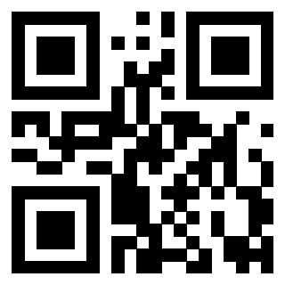 3919160202 QrCode associato